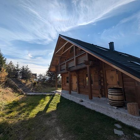 Villa Beskid Милювка Экстерьер фото